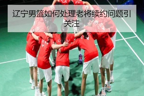 辽宁男篮如何处理老将续约问题引关注