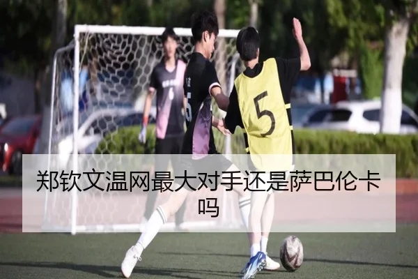 郑钦文温网最大对手还是萨巴伦卡吗 | www.ayx.com